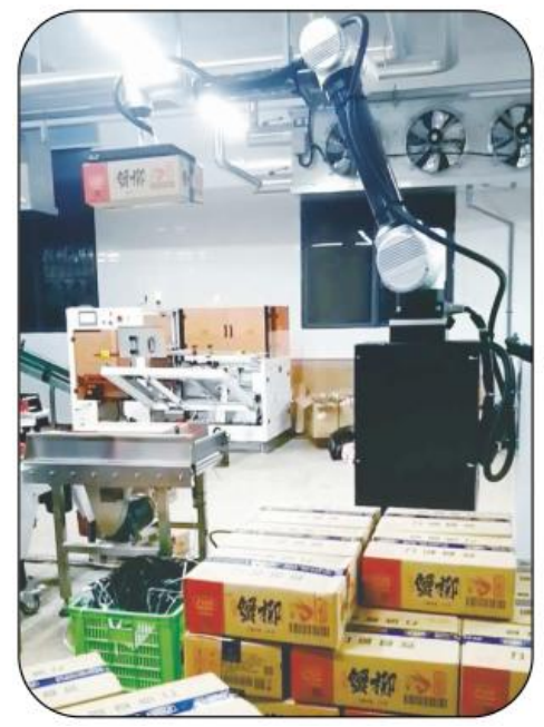 Robot de Paletización Colaborativo Ai-RMD30 (≤9 Cajas/Min) – Solución Inteligente y Flexible de Paletización para Múltiples Escenarios