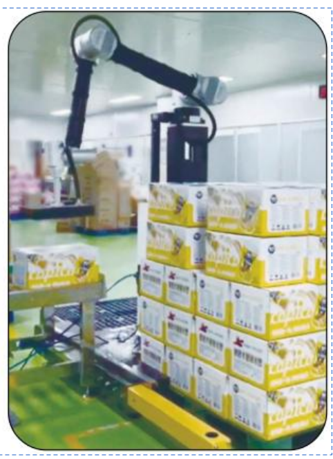Robot de Paletización Colaborativo Ai-RMD30 (≤9 Cajas/Min) – Solución Inteligente y Flexible de Paletización para Múltiples Escenarios